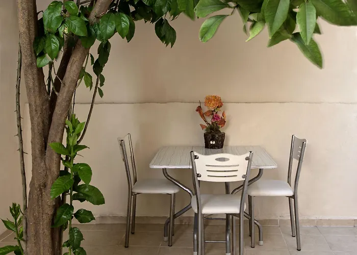 Carvan Hotel Istambul